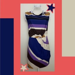 size 10 muse striped dress